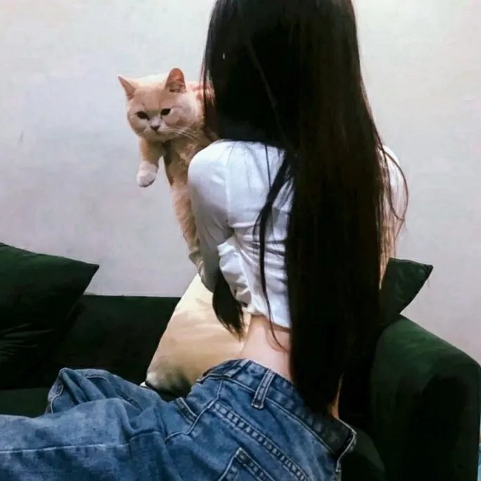 比佛利山庄的死去女人